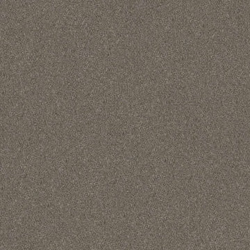 Misty Mica