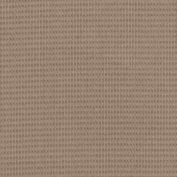 Beige Bisque
