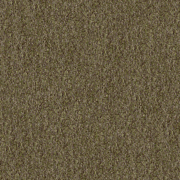 Mossy Bark