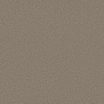 Plaza Taupe