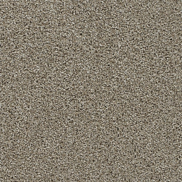 Rich Walnut