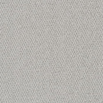 Nautilus