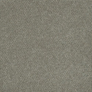 Ancient Marble