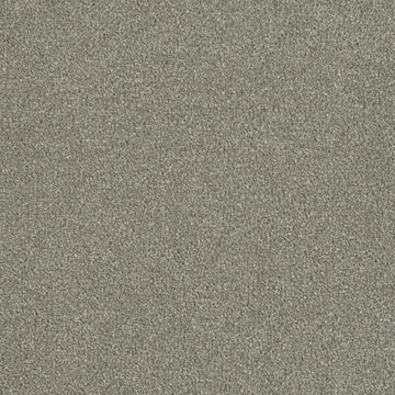 Dove