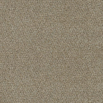 Toasted Oat