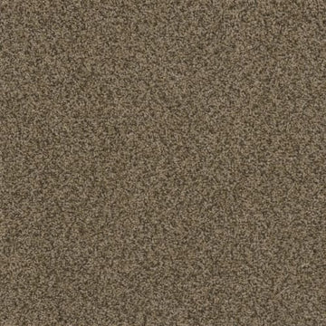 Fossil
