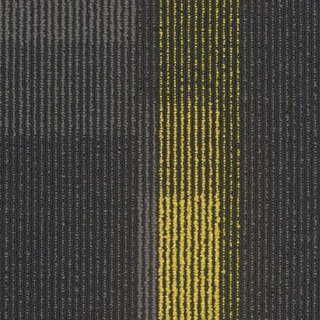 3144