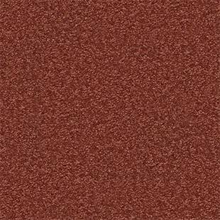 Sahara