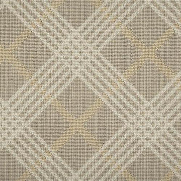 Cstpl Shell/Ivory