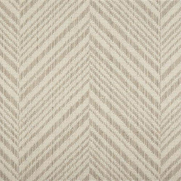 Seacl Shell/Ivory