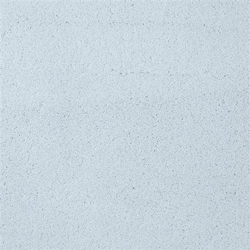 Arctic
