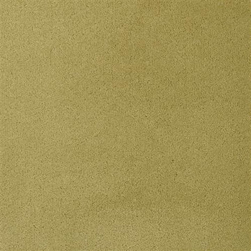 Green Olive