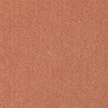 Coral Touch