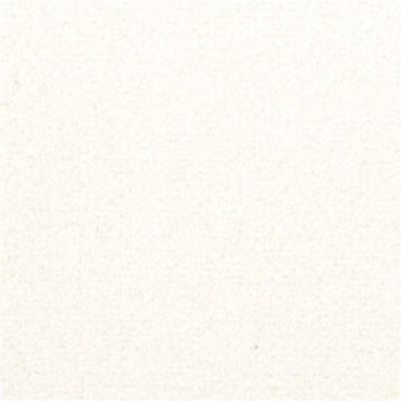 Seagull