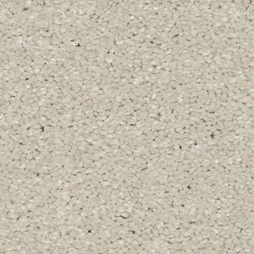 Seagull