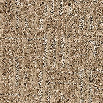 Sand Dunes