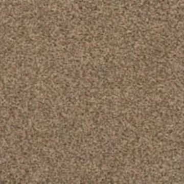 Flax Seed