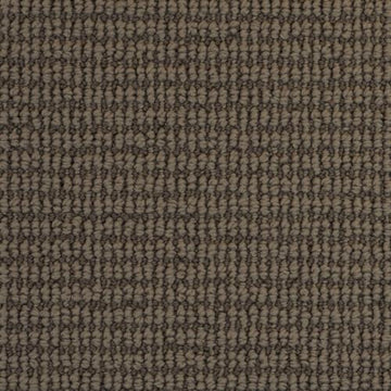Pashmina