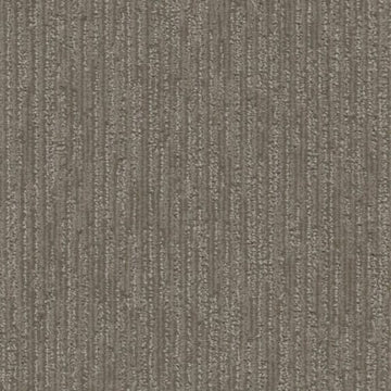 Willow Bark