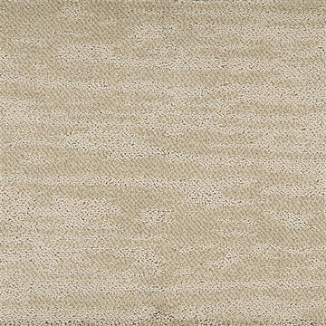 Sand Dune