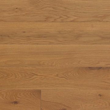 Chamomille Um 2.25"