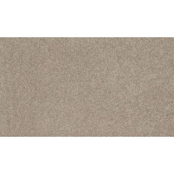 Dusky Willow