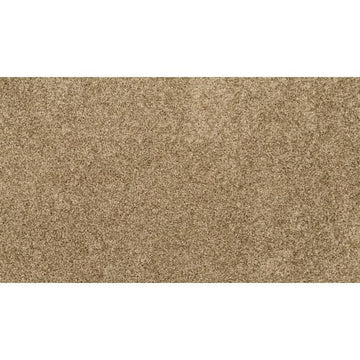 Parchment