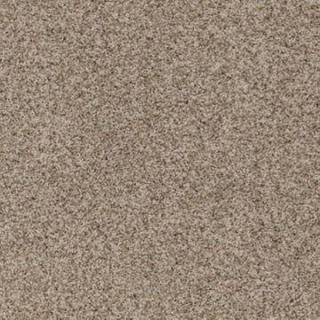 Winter Beige