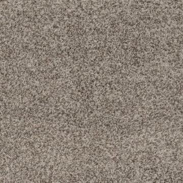 Sunlit Taupe
