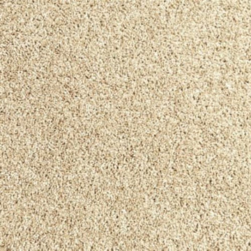 Coastal Sands