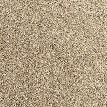 Flax Seed