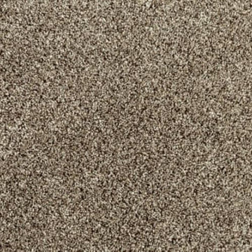 Shimmer Ash