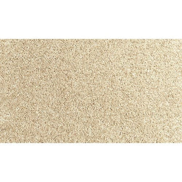 Coastal Sands