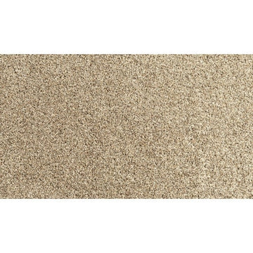 Flax Seed