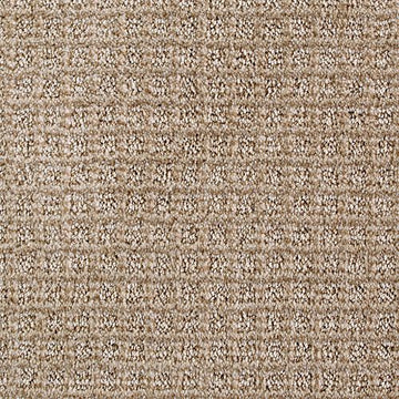 Buckskin