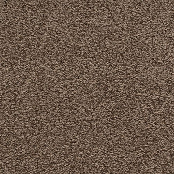 Bison