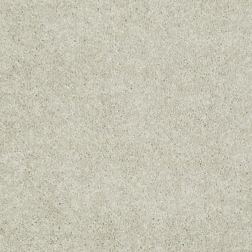 Crisp Linen