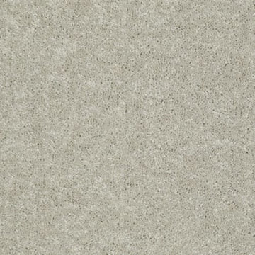 Cookie Dough