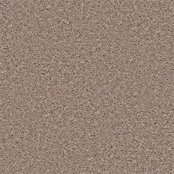 Wild Dune