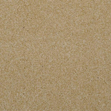 Sand Dune