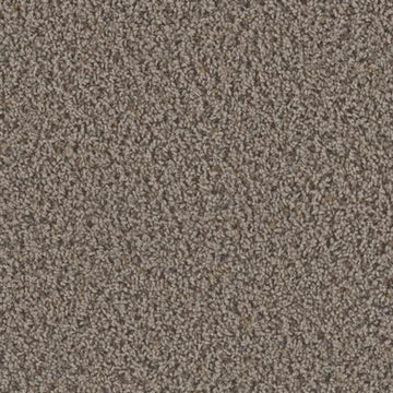 Rugged Suede