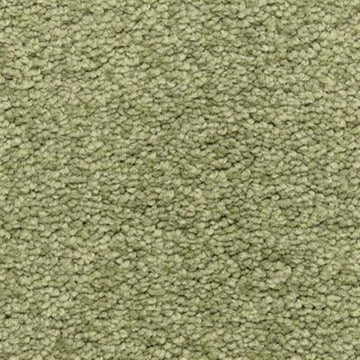 Bay Leaf