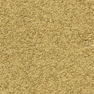Ochre
