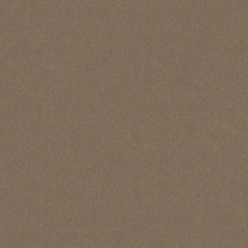 Clay Bisque