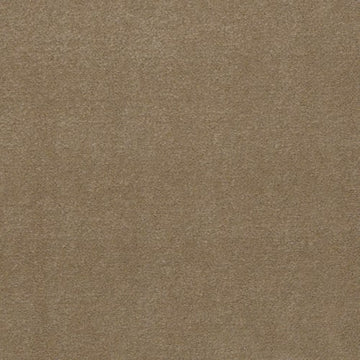 Canyon Dust