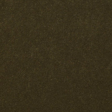 Venetian Green