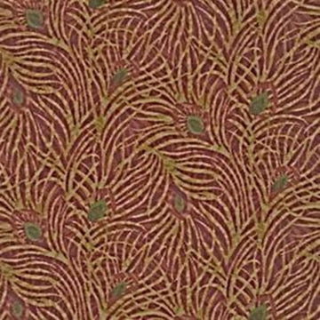Pavo
