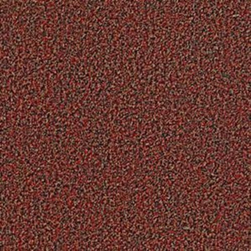 China Berry