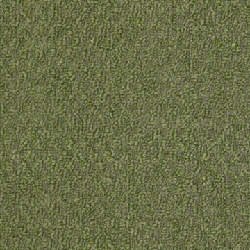Holly Leaf