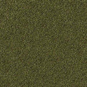 Mossy Bark
